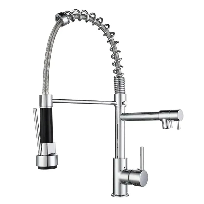 Sanilux™ Spring Kitchen Faucet with Pull-Down Sprayer